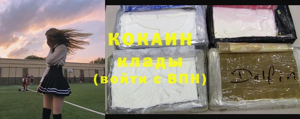 амф Коряжма