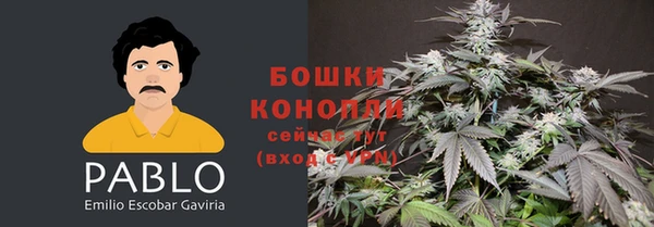 амф Коряжма