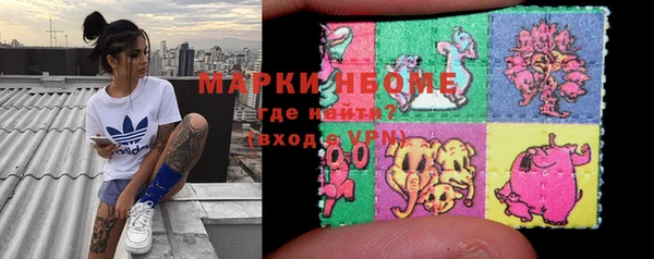 амф Коряжма