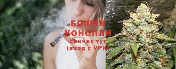 дмт Корсаков