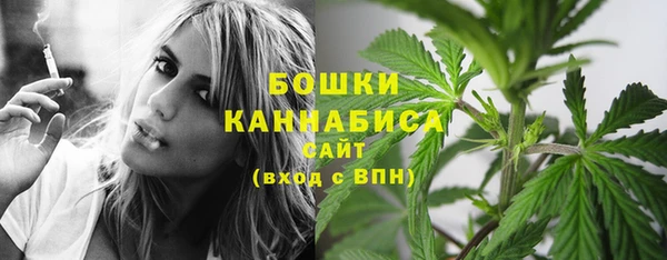 дмт Корсаков