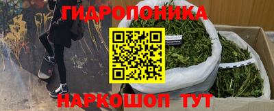 каннабис Гатчина