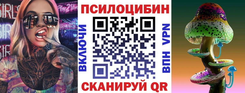 KRAKEN зеркало  Керчь  Галлюциногенные грибы мицелий 